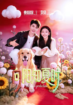 向阳知夏时（80集）每天更新热门短剧