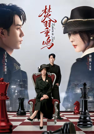 焚羽重鸣（60集）好评如潮的排行榜前十短剧