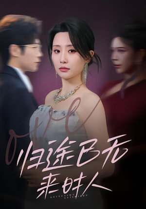 归途已无来时人（70集）免费的短剧资源汇总