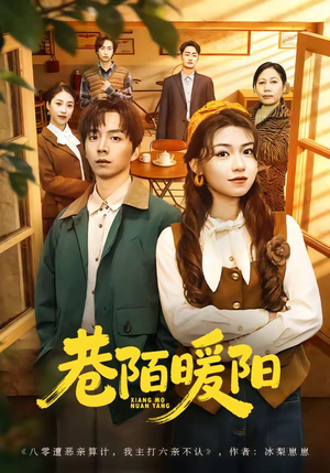 巷陌暖阳（80集）免费观看热门短剧全集