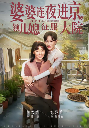 婆婆连夜进京，领儿媳征服大院（78集）免费观看最新短剧