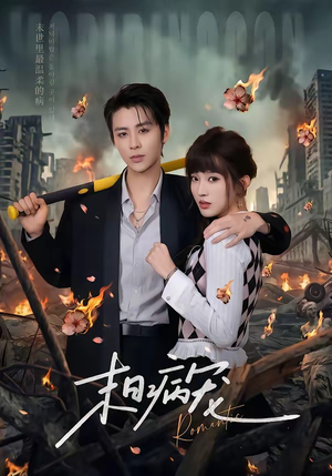 末日病宠（60集）热门短剧免费观看