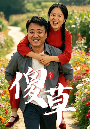 傻草（71集）热门短剧一网打尽