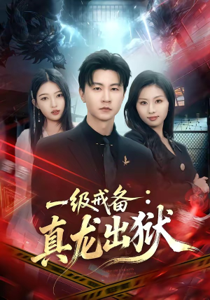 一级戒备：真龙出狱（73集）每日短剧追不停