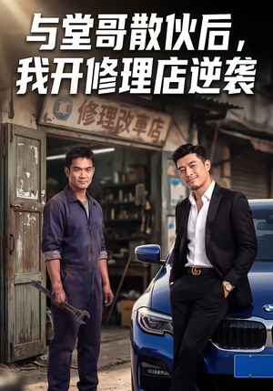 与堂哥散伙后，我开修理店逆袭（40集）每天更新热门短剧