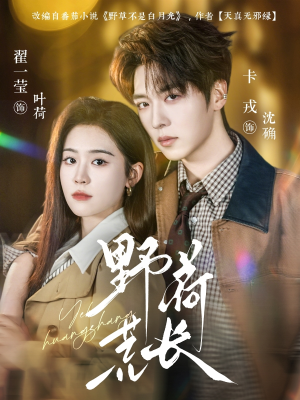 野荷荒长（86集）好看的短剧同大家分享