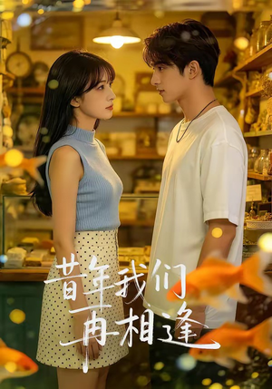 昔年我们再相逢（40集）短剧高清画质免费体验