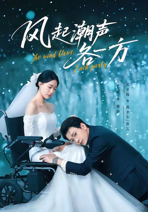 风起潮声各一方（84集）经典回顾短剧免费看