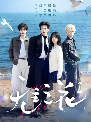 无主之花1（72集）全集都可以免费看的热门短剧