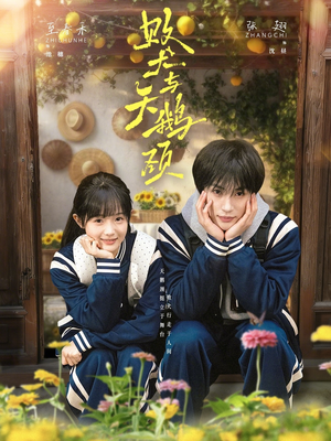 败犬与天鹅颈（71集）今日热门短剧推荐