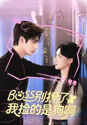 Boss别撩了，我捡的是狗呀（65集）一键在线观看全集短剧