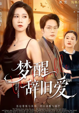 梦醒辞旧爱（55集）免费观看全集的短剧网站精选