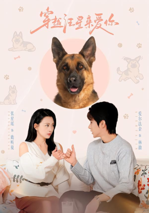 穿越汪星来爱你（62集）免费观看排行榜前十短剧