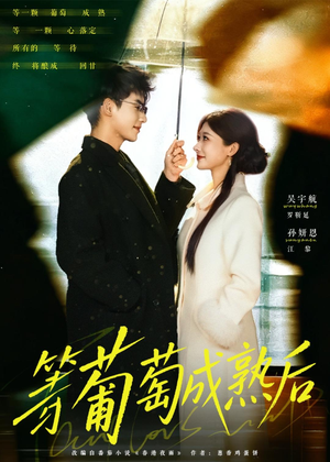 等葡萄成熟后（82集）爆火短剧抢先看