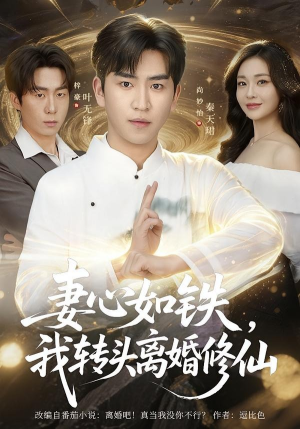 妻心如铁我转头离婚修仙(81集) 妻心如铁我转头离婚修仙(81集)短剧免费看全集