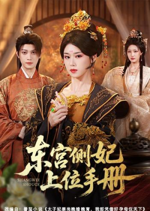 东宫侧妃上位手册（61集）精彩短剧连连免费看