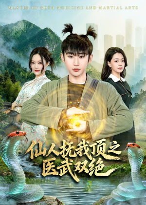 仙人抚我顶之医武双绝（66集）一口气追完全集短剧