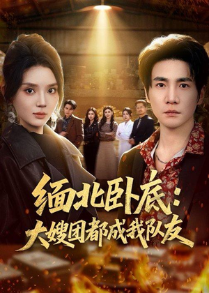 缅北卧底：大嫂团都成我队友（71集）全集免费观看的短剧资源整合