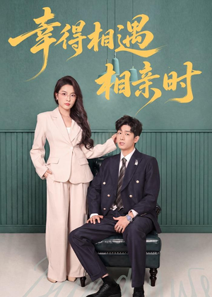 幸得相遇相亲时（80集）一个短剧看全集