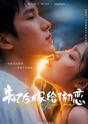 失忆后嫁给了初恋(10集) 失忆后嫁给了初恋(10集)好看的短剧推荐