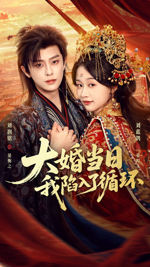 大婚当日，我陷入了循环（67集）口碑之选短剧免费看