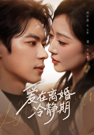 爱在离婚冷静期（73集）免费短剧完整版