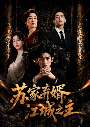苏家弃婿，江城之主（43集）热门短剧在线观看