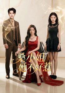 桑小姐她不好惹（103集）深夜必看热门短剧推荐