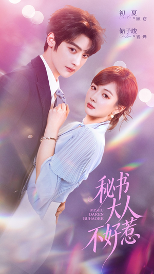秘书大人不好惹（62集）精彩短剧免费看