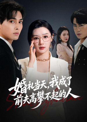 婚礼当天，我成了前夫高攀不起的人（42集）免费的短剧资源大全推荐