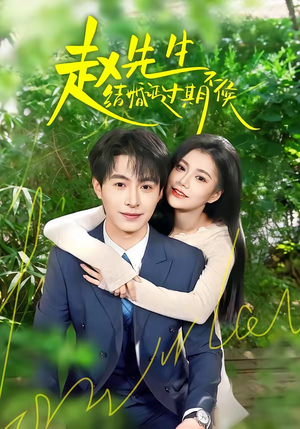 赵先生结婚证过期不候（50集）推荐热门短剧抢先看