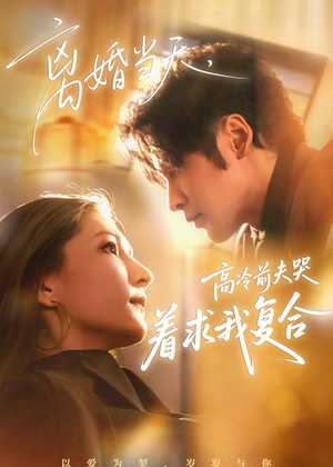 离婚当天，高冷前夫哭着求我复合（77集）无需会员短剧免费看