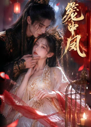 笼中凤（44集）短剧追到爽全集完整版
