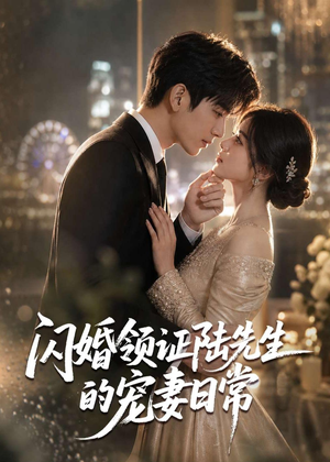 闪婚领证陆先生的宠妻日常（72集）短剧高清画质免费体验