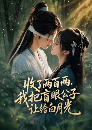 收了两百两，我把盲眼公子让给白月光（55集）短剧小说在线看