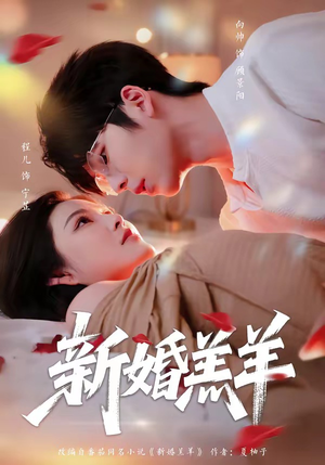 新婚羔羊（89集）我的短剧太好看了吧