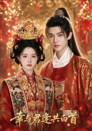 幸与君逢共白首(79集) 幸与君逢共白首(79集)精彩短剧抢先看全集