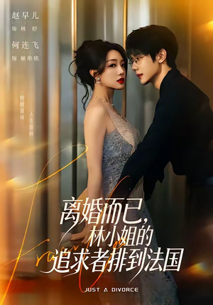 离婚而已,林小姐的追求者排到法国(79集) 离婚而已,林小姐的追求者排到法国(79集)最火短剧热播中意想不到的结局