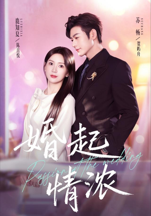 婚起情浓(99集) 婚起情浓(99集)免费看短剧大结局