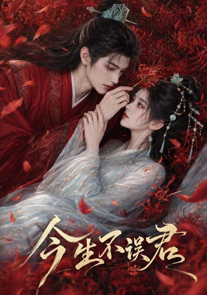 今生不误君（106集）短剧追到爽全集完整版