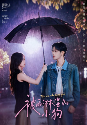 被雨淋湿的小狗(80集) 被雨淋湿的小狗(80集)热播短剧持续更新